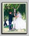 image-a19
