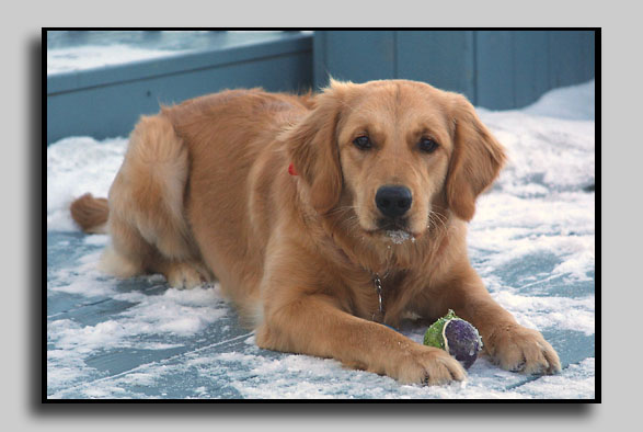 Maya24dec2002
